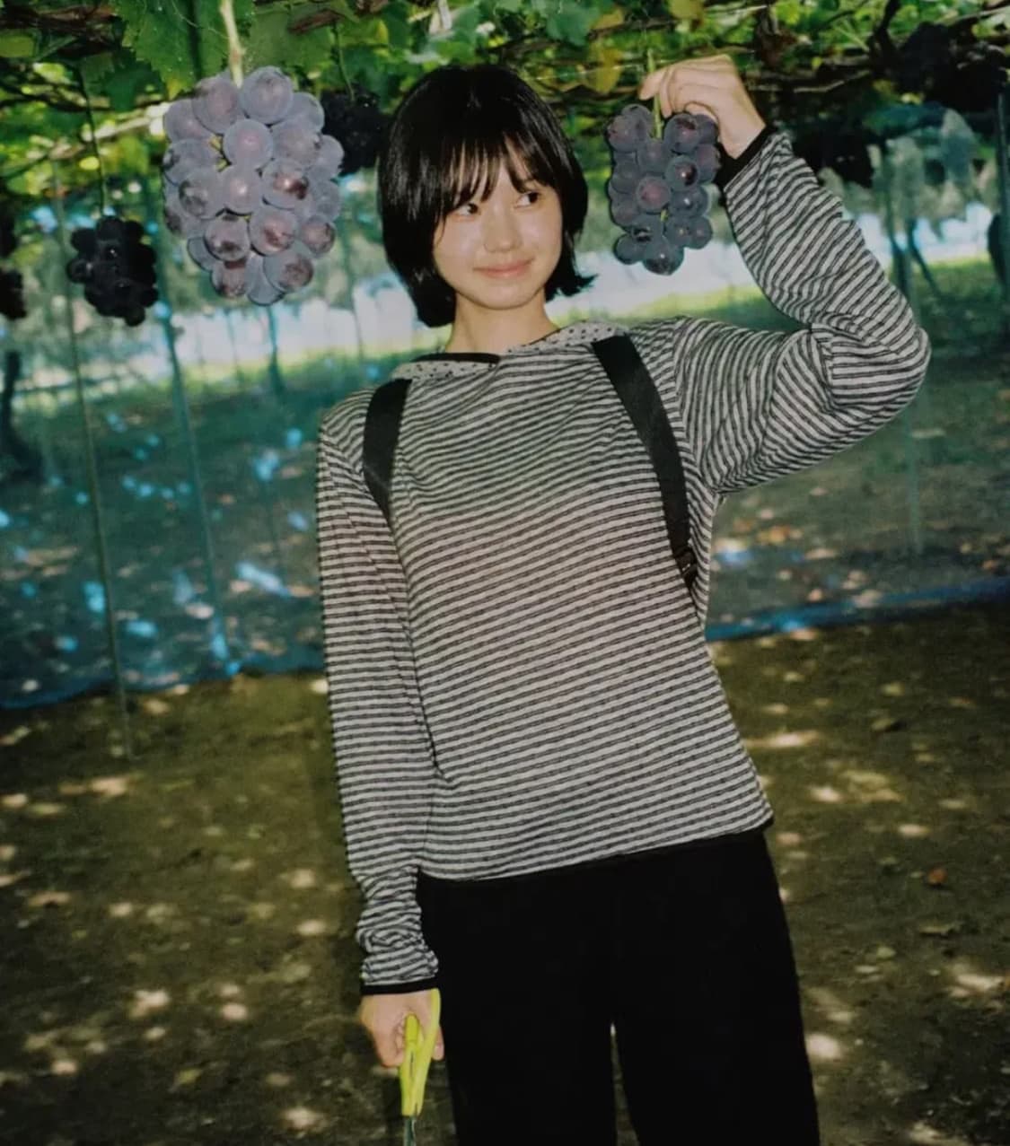 페스토 후디 상품이미지1