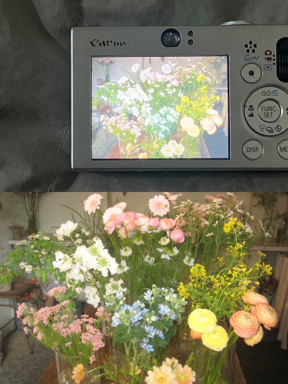 인기) 캐논 익서스70 익시10 파워샷 1000 ixus70 ixy10 상품이미지6