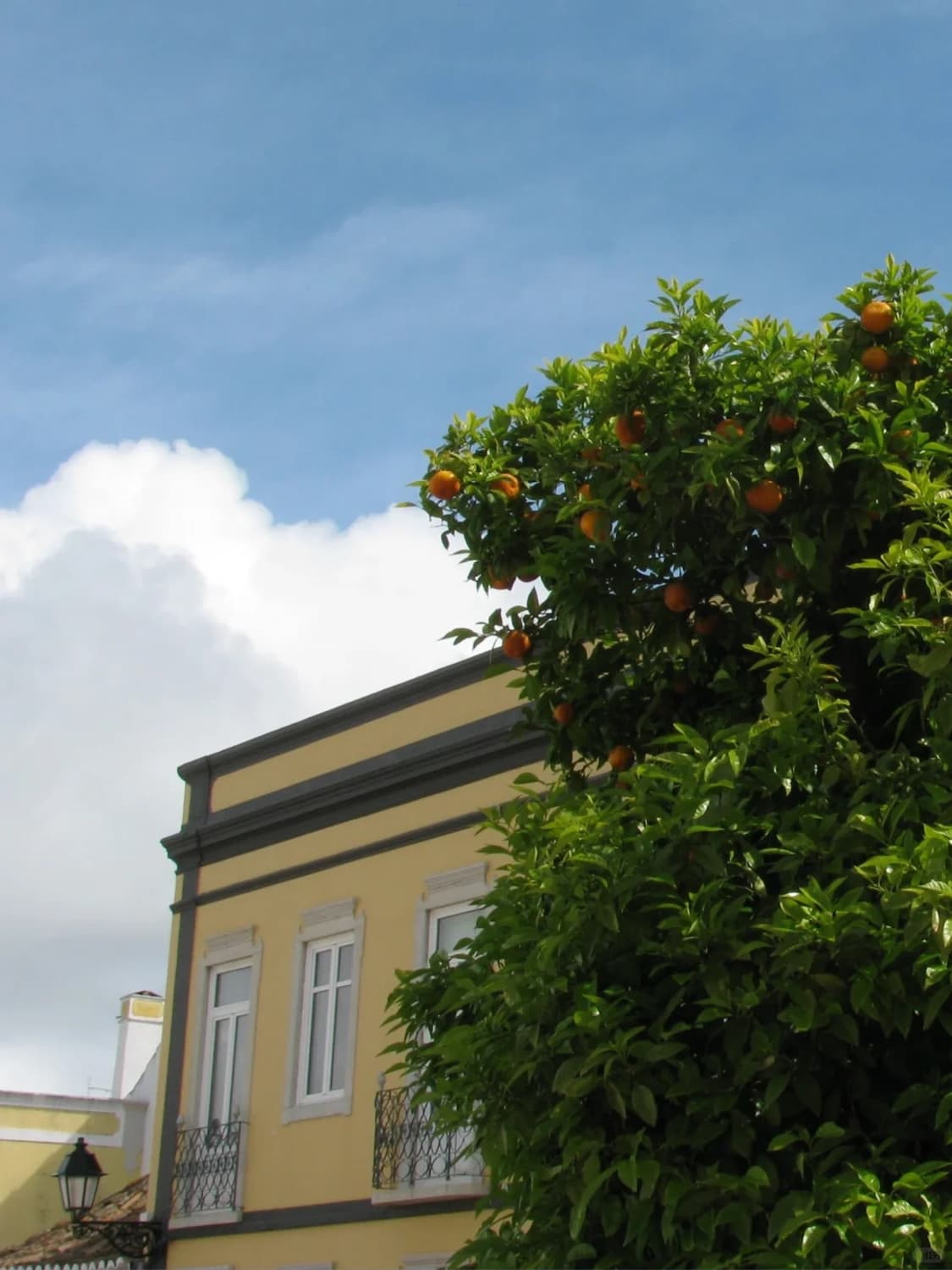 캐논 파워샷 S110 상품이미지10