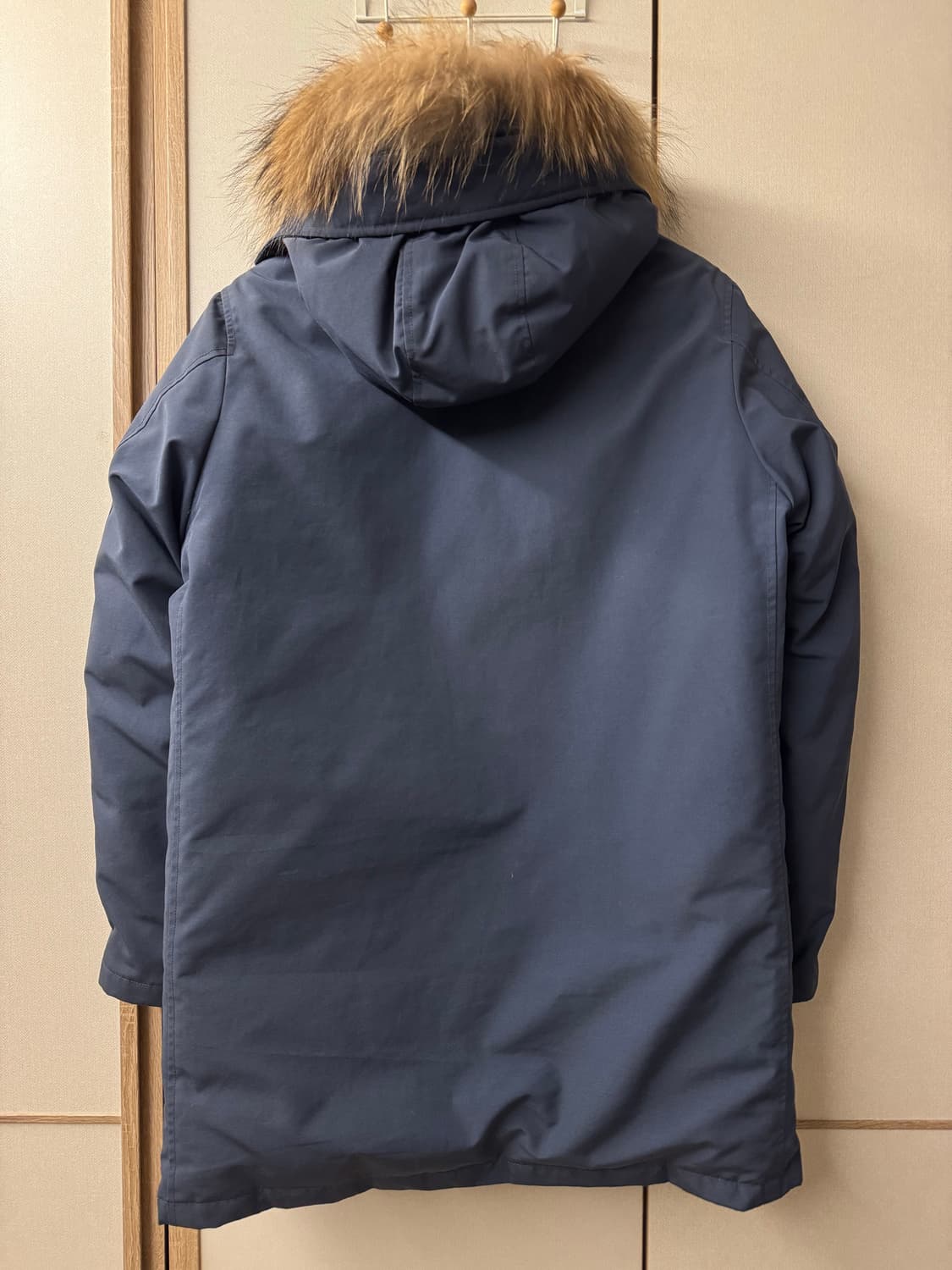 단톤(DANTON) 다운패딩 상품이미지2