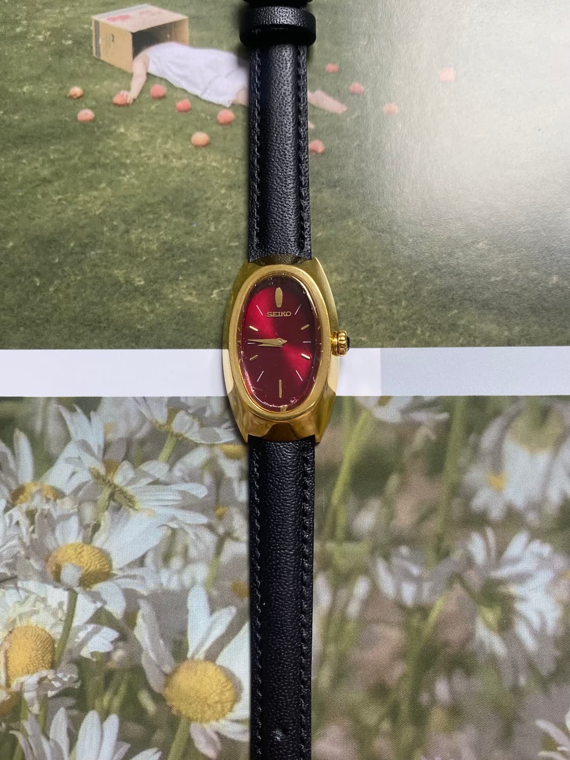 Seiko 세이코 오벌 레드 선레이 상품이미지3