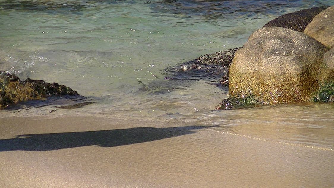 특가 / 작례 0 / 인기 기종 / jvc hm33 빈티지 카메라 실버 상품이미지6