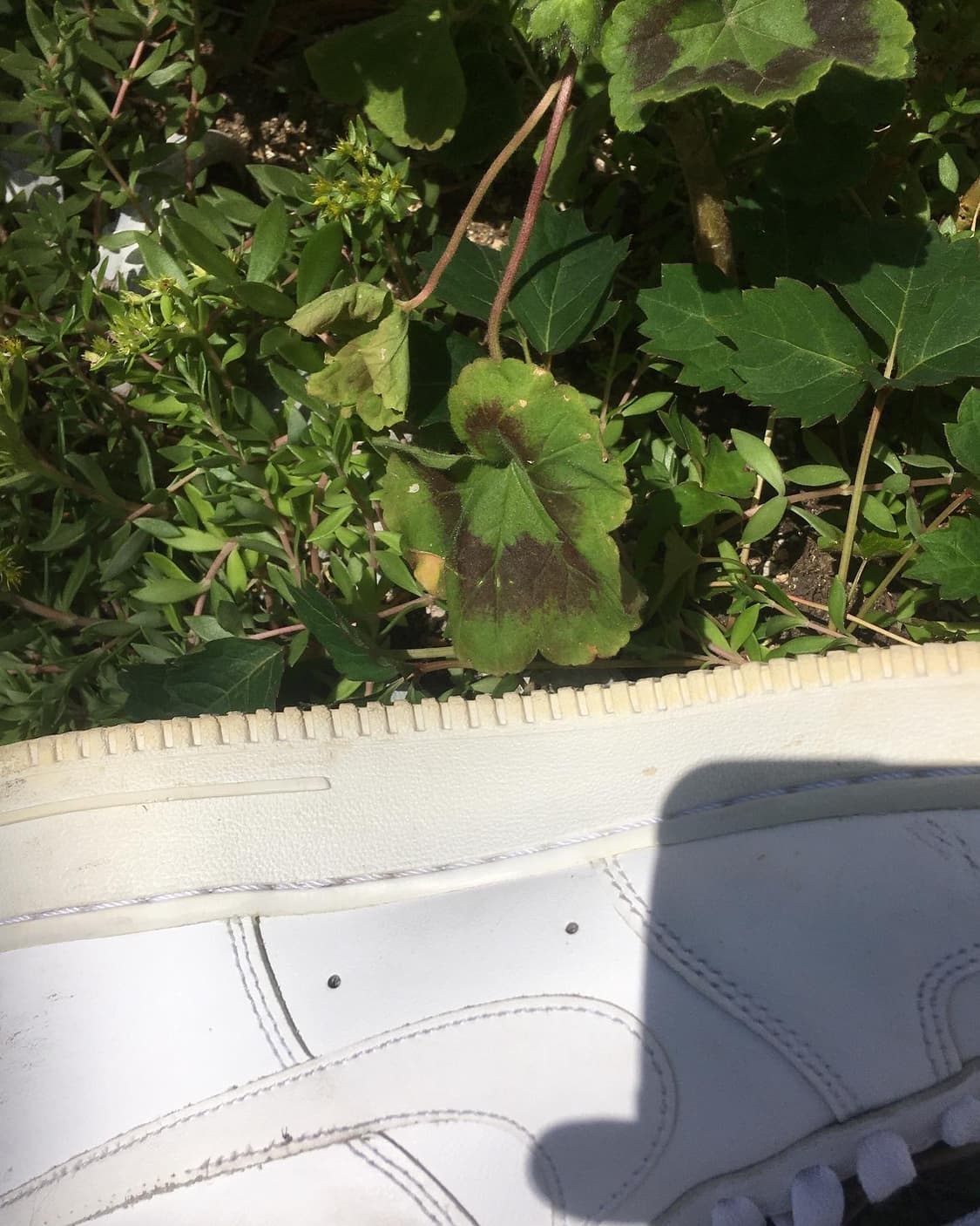 나이키 에어포스 1 상품이미지9