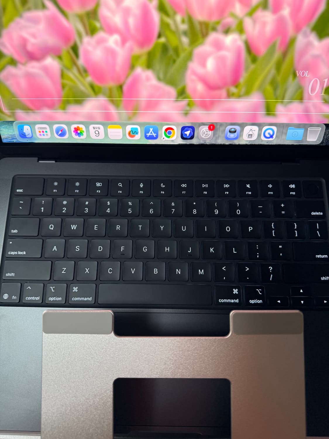 맥북 프로 m5 24 / 1tb 스페이스블랙 영문자판 상품이미지6