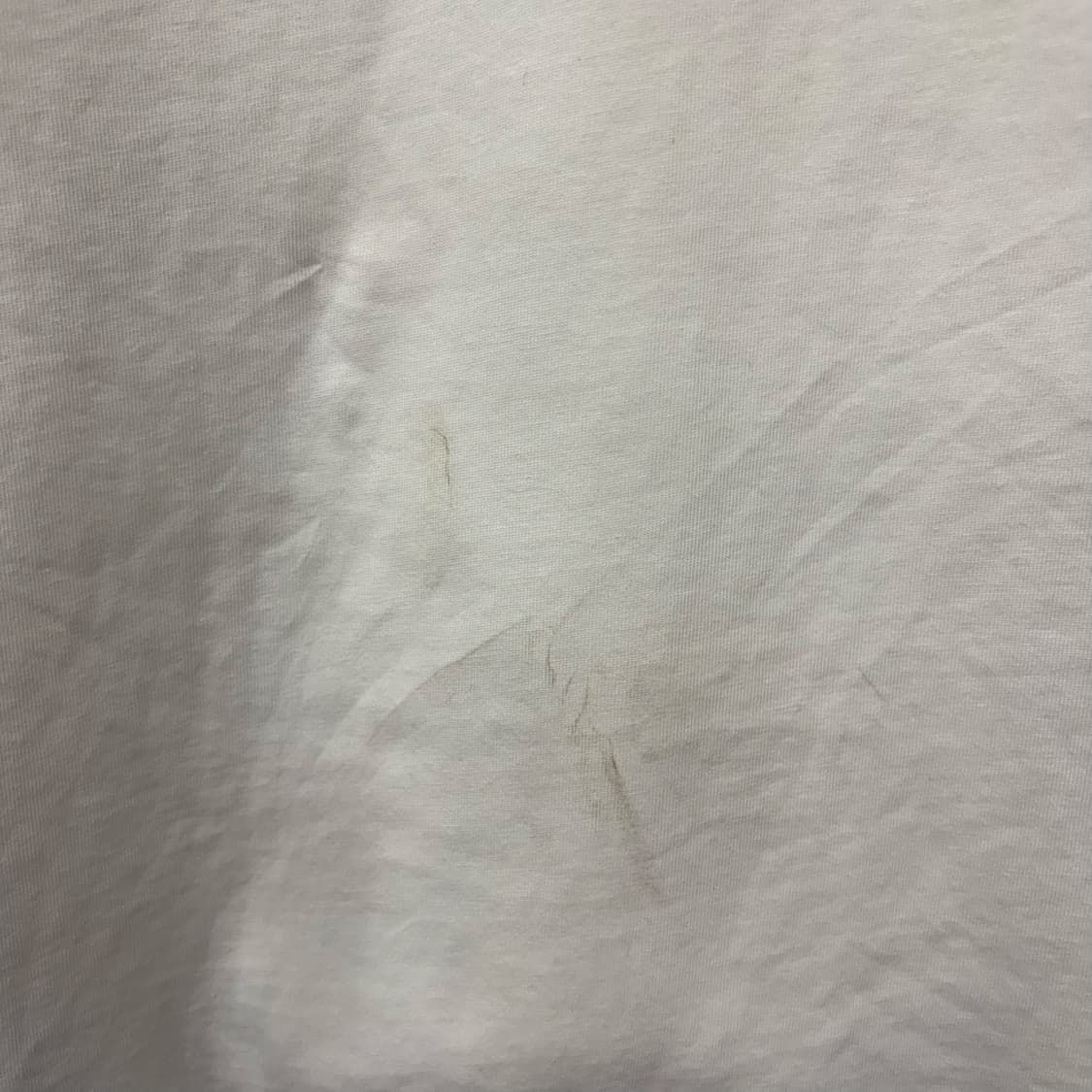 파르티멘토 긴팔티 상품이미지7