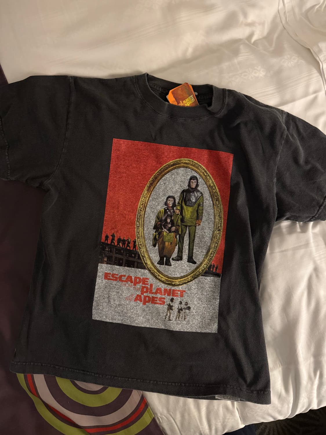 빔즈 반팔 상품이미지1