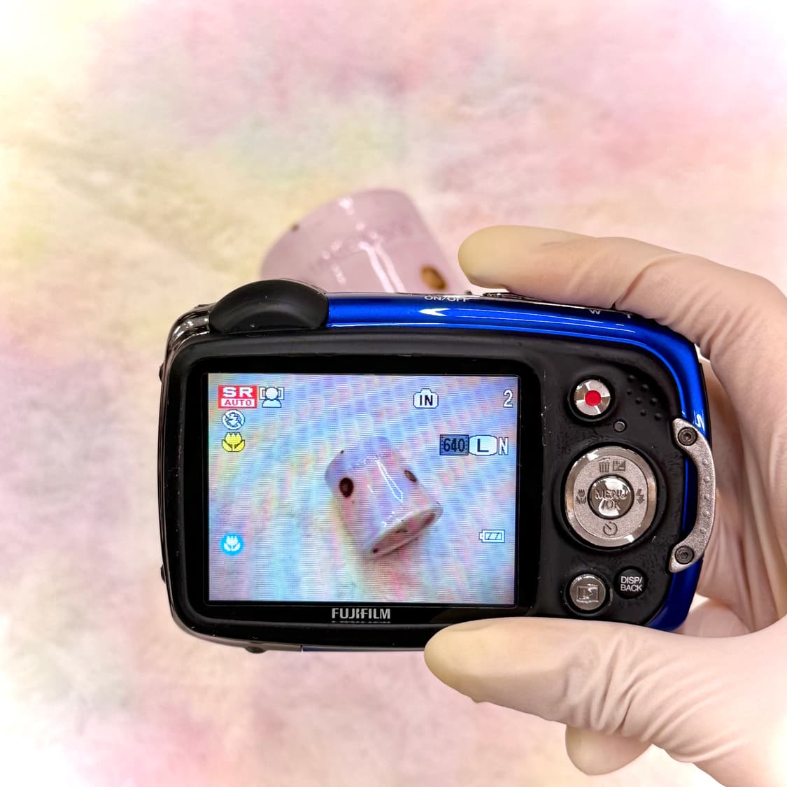 풀박💙) FUJIFILM FINEPIX FX30 후지필름 파인픽스 상품이미지7
