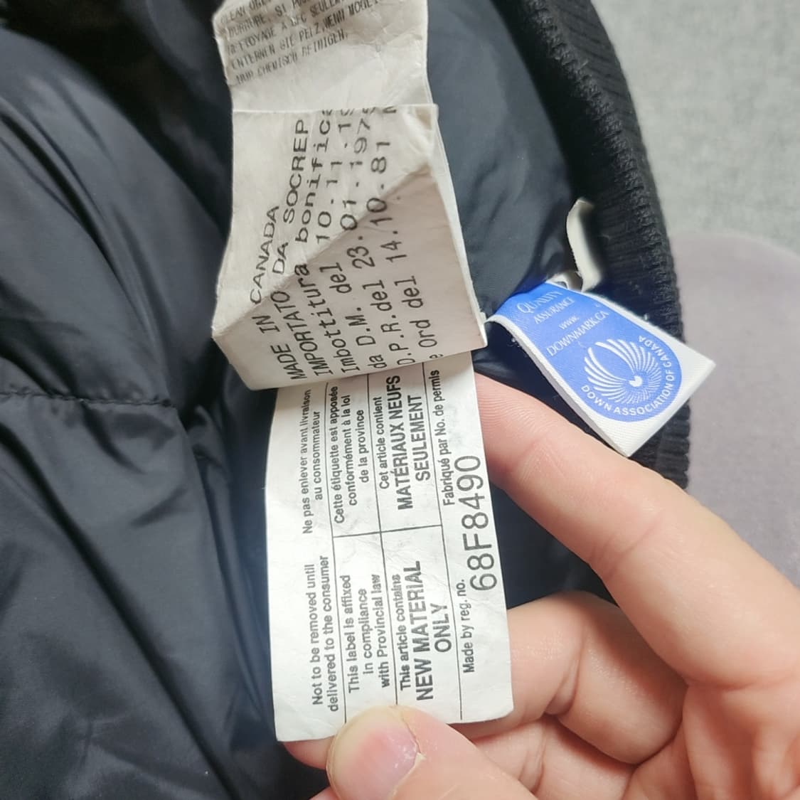 [S] 캐나다구스 숏패딩 상품이미지7