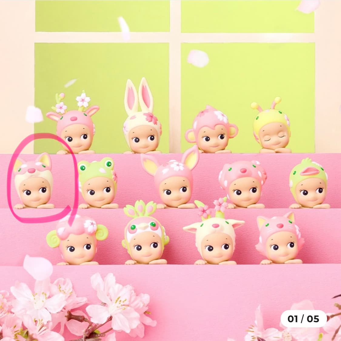 소니엔젤 체리블라썸 히퍼 시바이누 상품이미지3