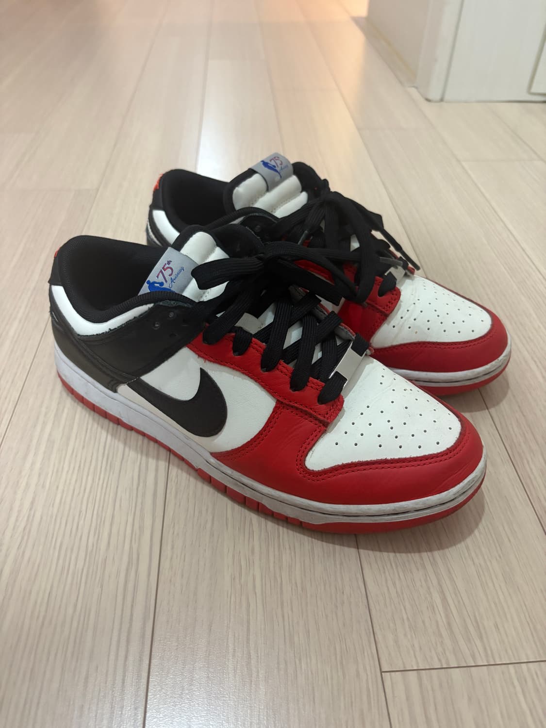 나이키 덩크 로우 레트로 EMB 블랙 앤 칠리 레드 상품이미지2