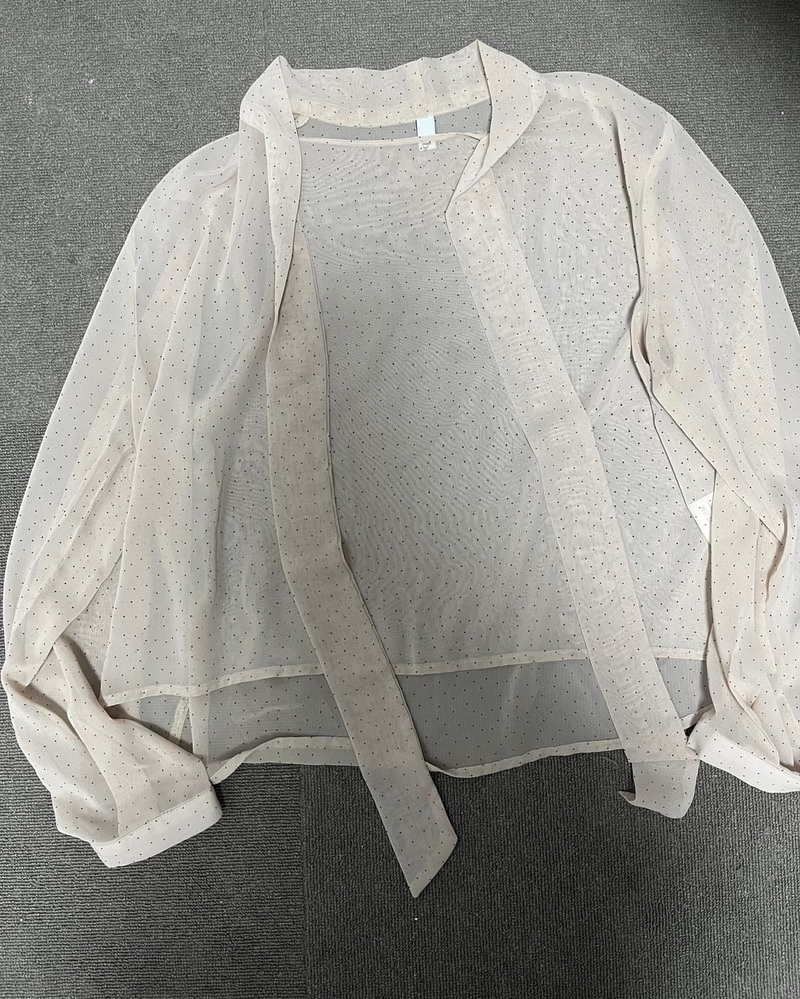 시스루 블라우스 상품이미지1