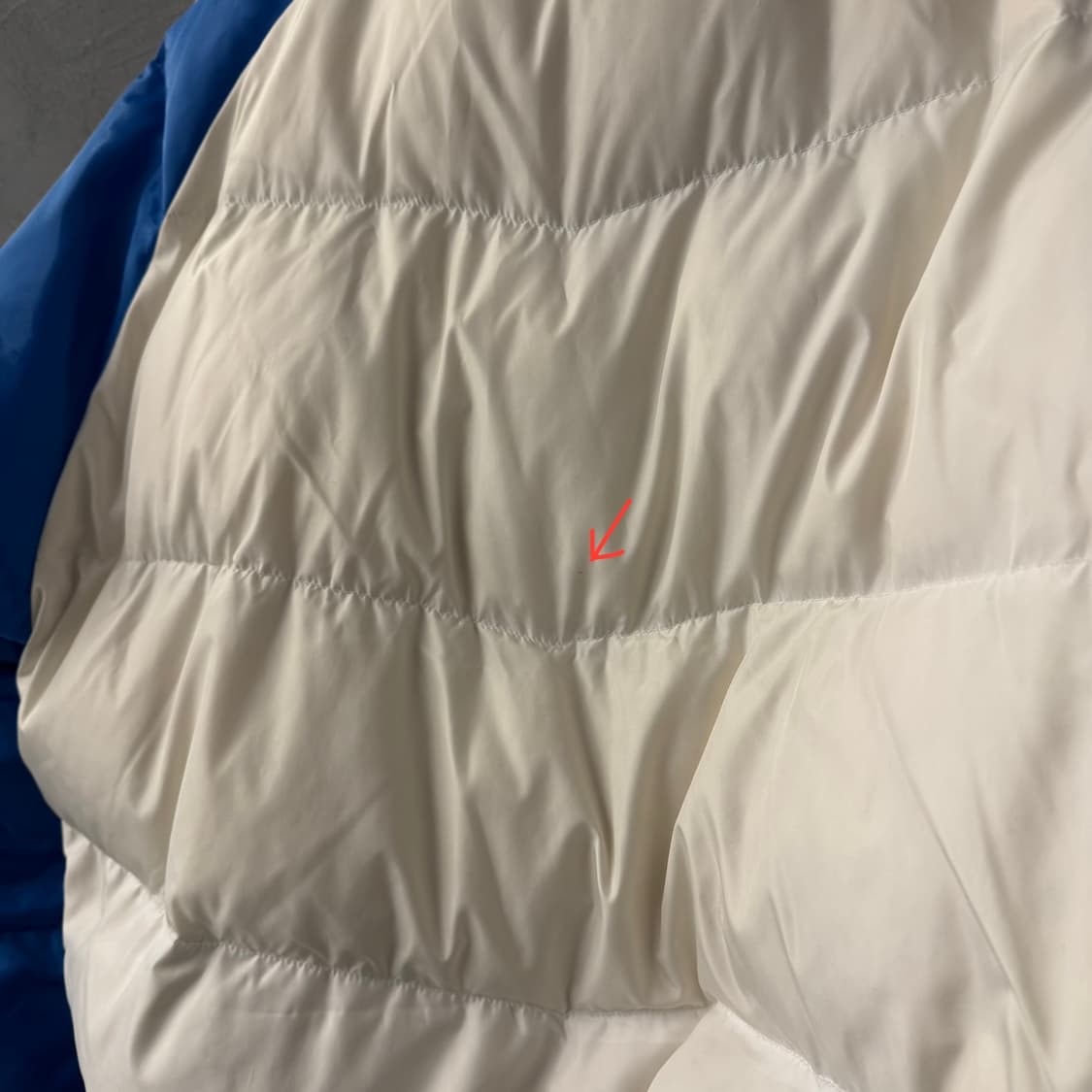 아디다스 빅로고 푸퍼 숏패딩 (L) 상품이미지10