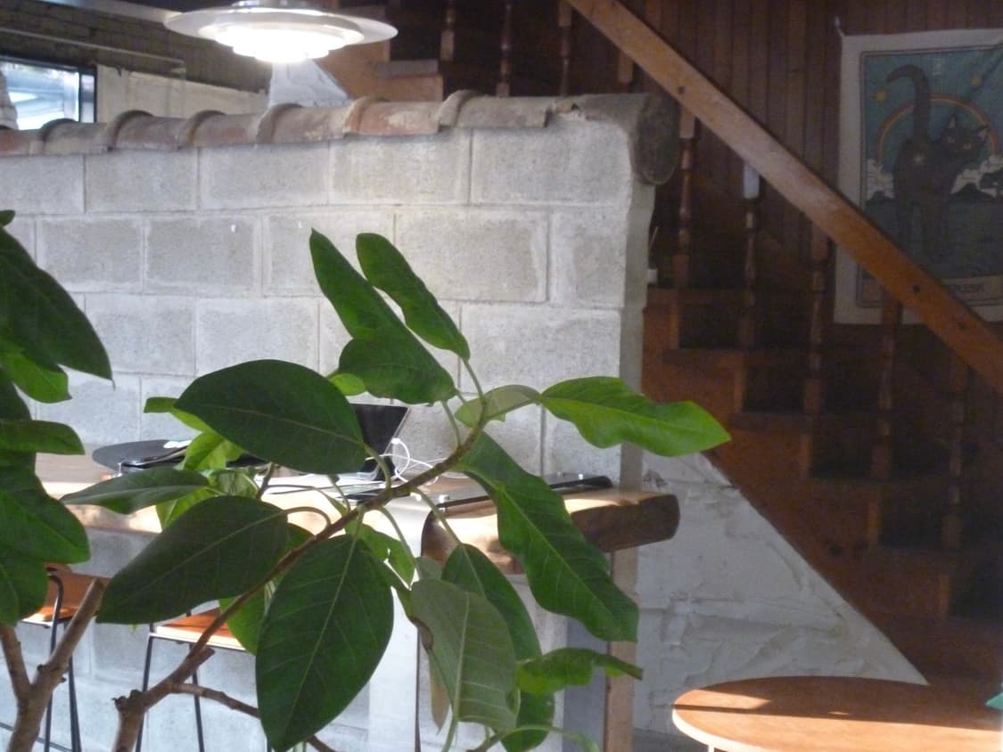 작례O) 파나소닉 루믹스 Panasonic Lumix DMC-FP7  상품이미지6