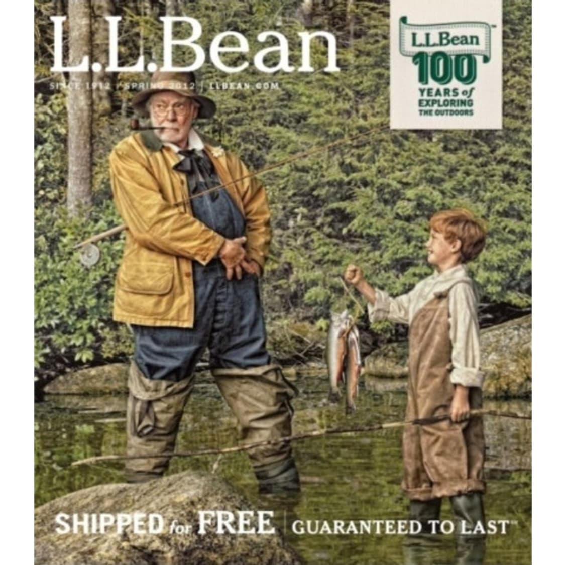 00's 엘엘빈 빈티지 고어텍스 마운틴 파카 L 정품 상품이미지6