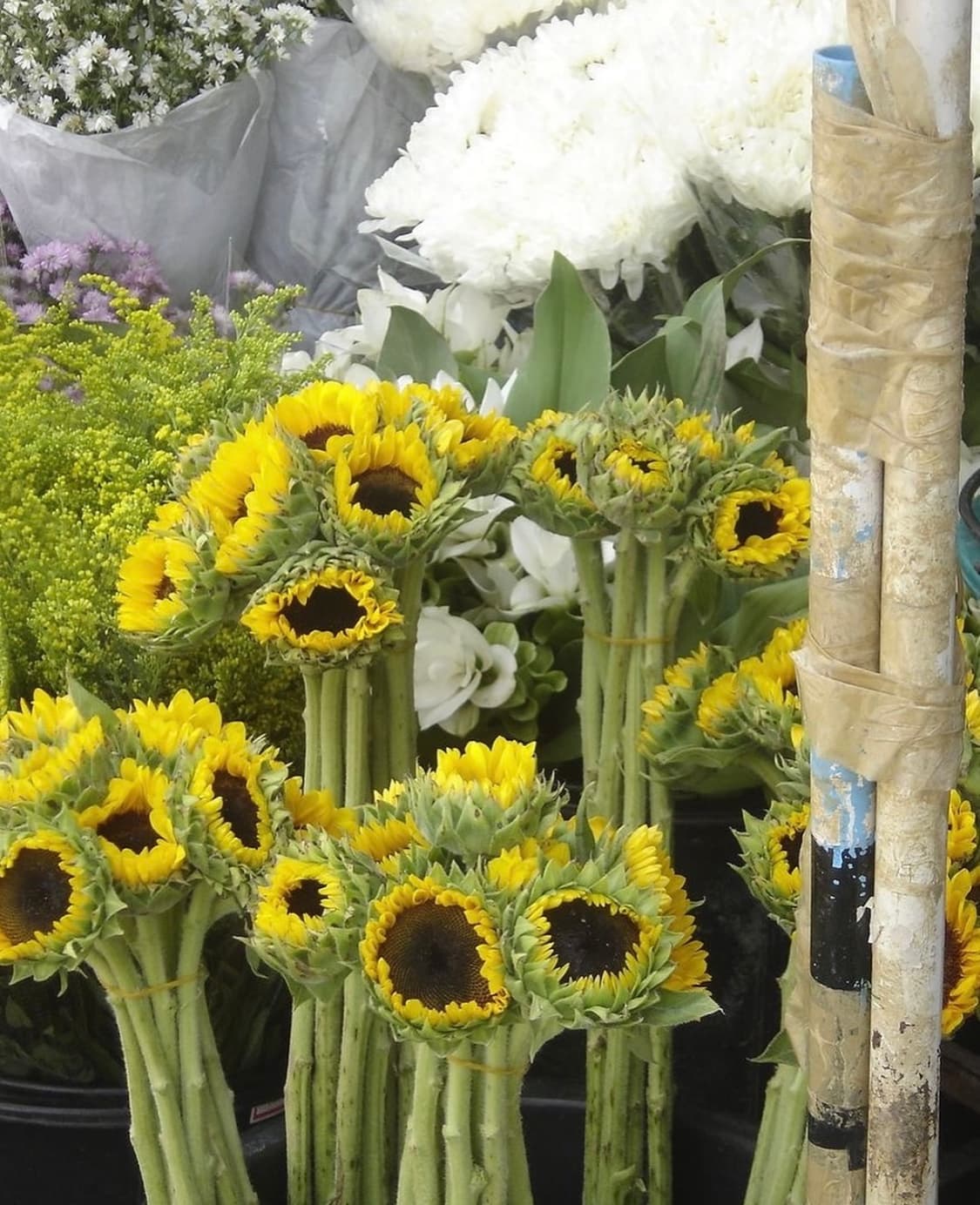 소니 사이버샷 dsc p9 디지털카메라 상품이미지8