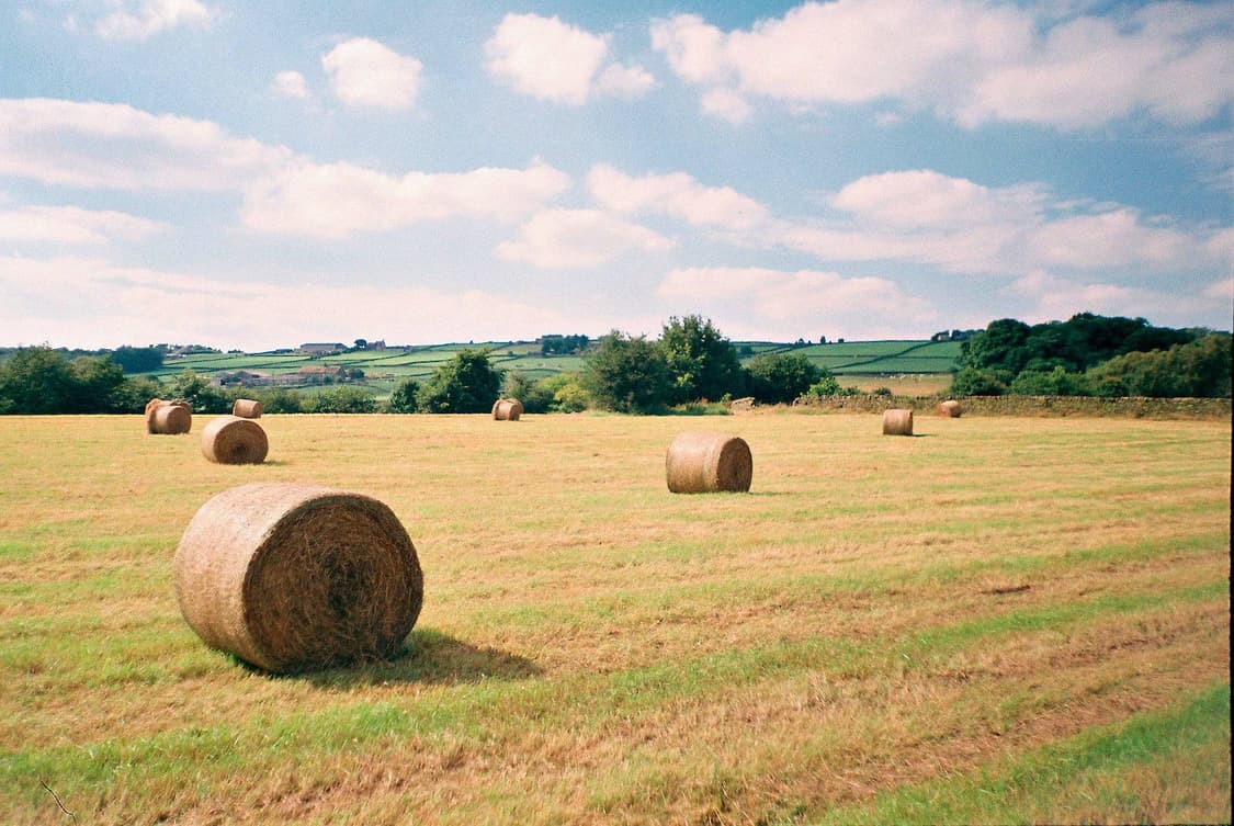 작례O 국내 유일 올림푸스 트립 md3 필름카메라 빈티지 필카 상품이미지4