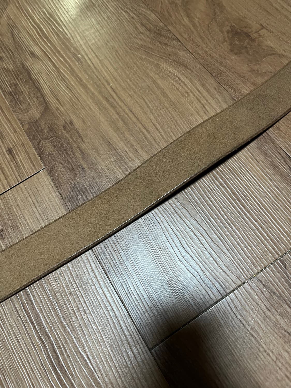 Accel Company belt 상품이미지4