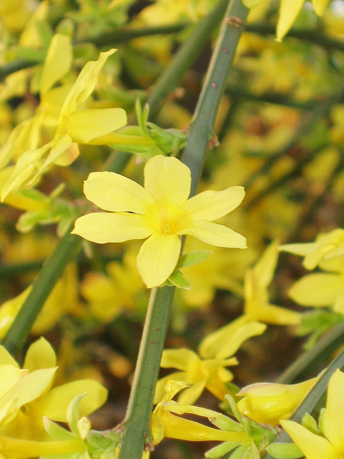 [작례O] 올림푸스 SP-320 빈티지 디카 상품이미지7