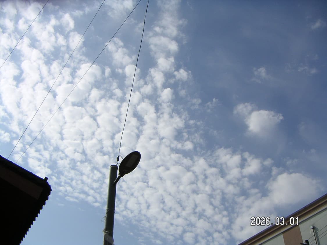 작례o) 민트급 미놀타 디미지x20 블루 상품이미지7