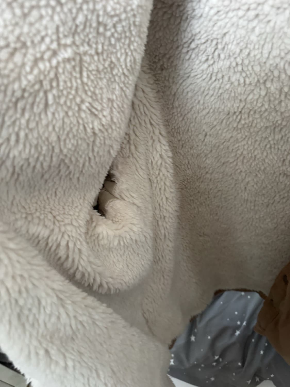 스투시 쉐르파 라인드 워크 셔츠 상품이미지2