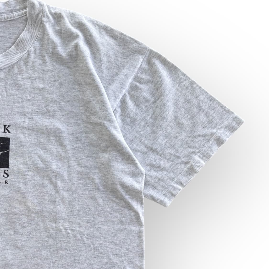 XL)90's 블랙 플라이즈 Black Flag 패러디 티셔츠 상품이미지5