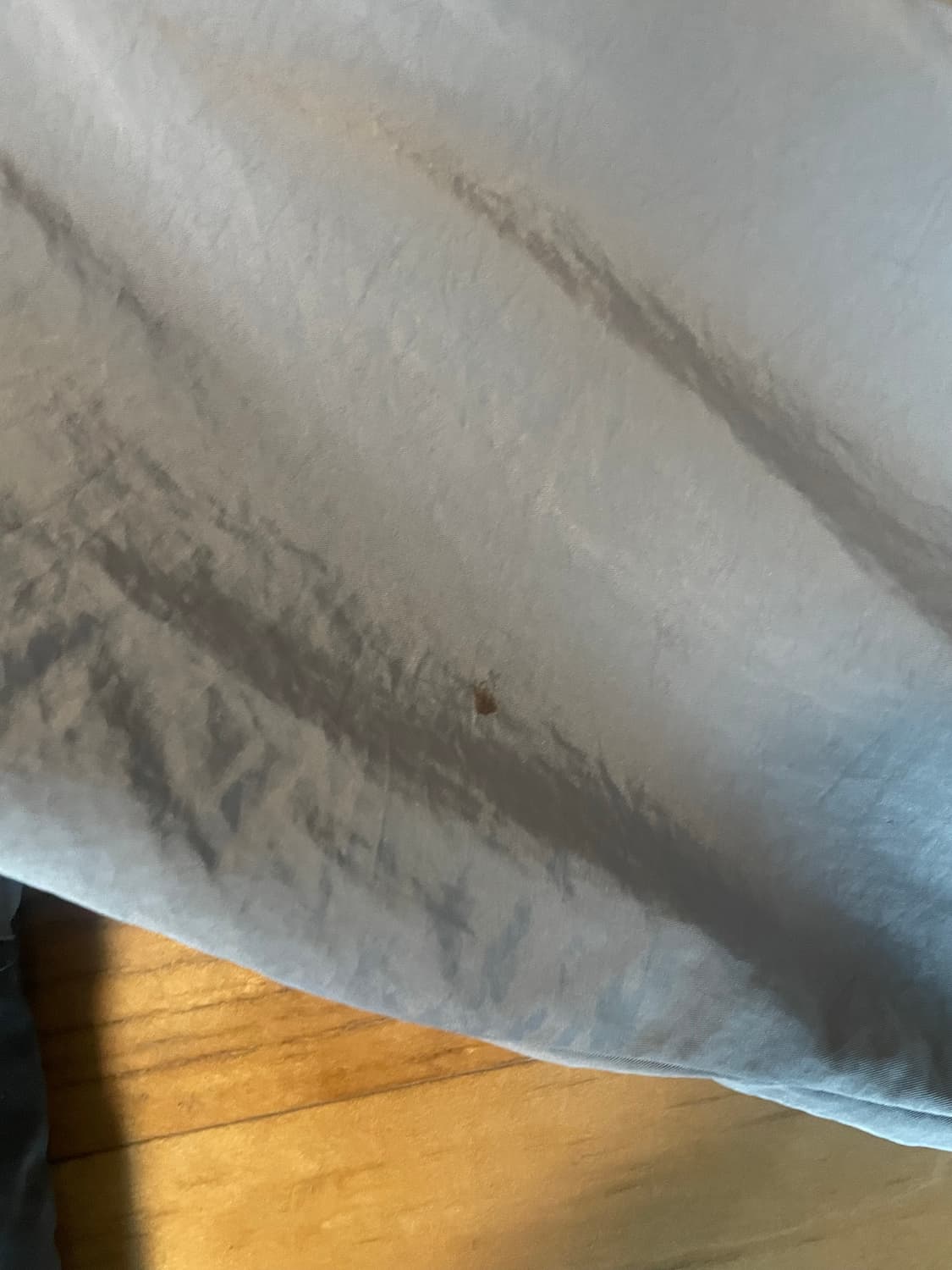 꼼파뇨 레이서 다트 윈드브레이커 챠콜 상품이미지3