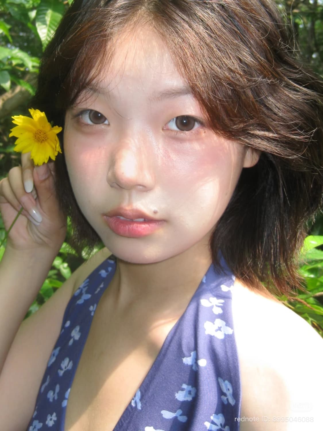 IXUS 85 IS IXY 25 is 풀박스 상품이미지4