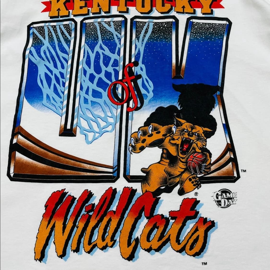 Game Day 90s Wild cats 올드스쿨 덩크 반팔 티셔츠 상품이미지4