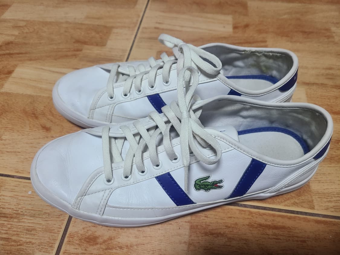 라코스테 사이드라인 270(265추천) 상품이미지1