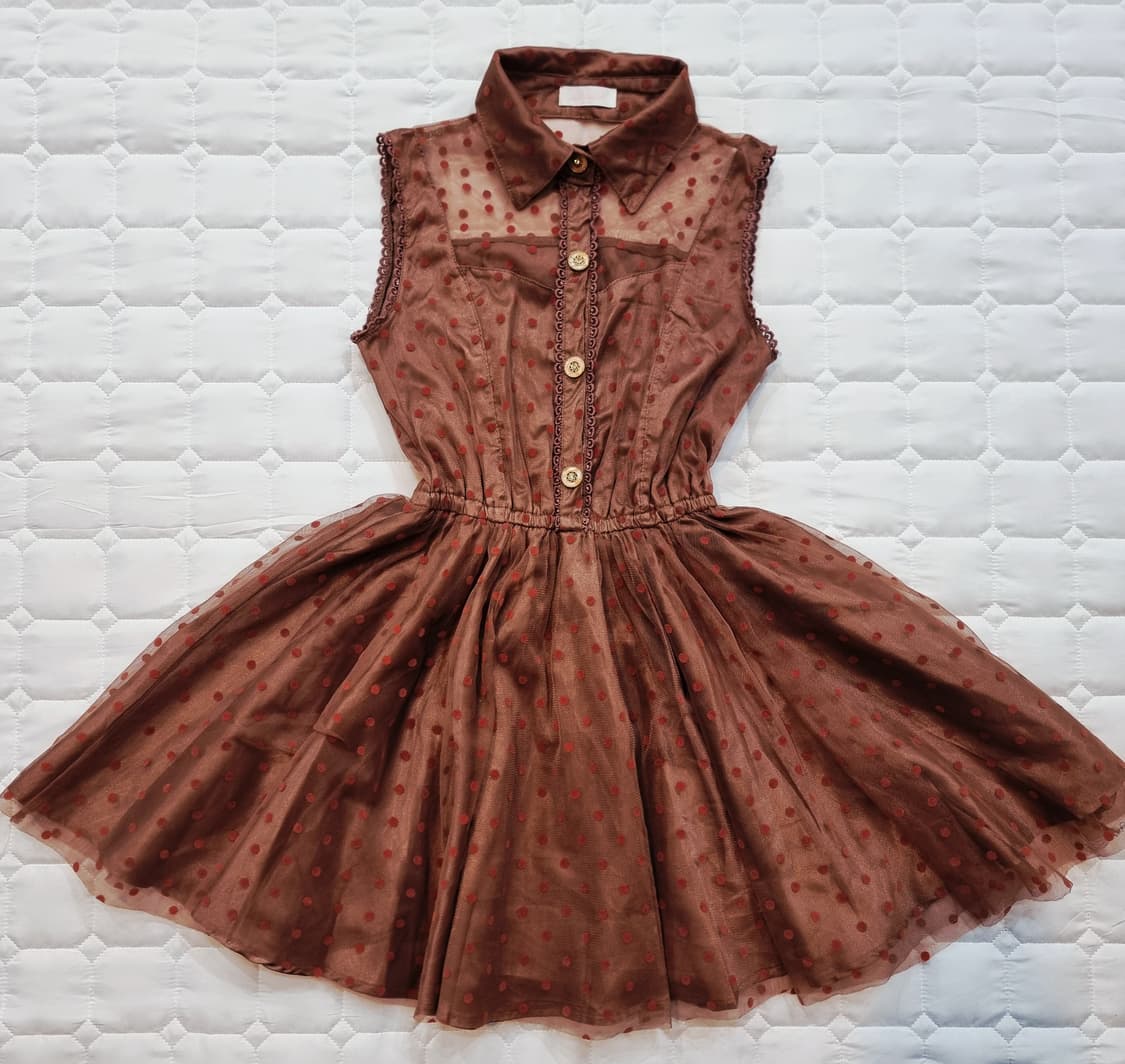 LIZ LISA(리즈리사)초콜릿 도트 시스루 원피스 상품이미지6