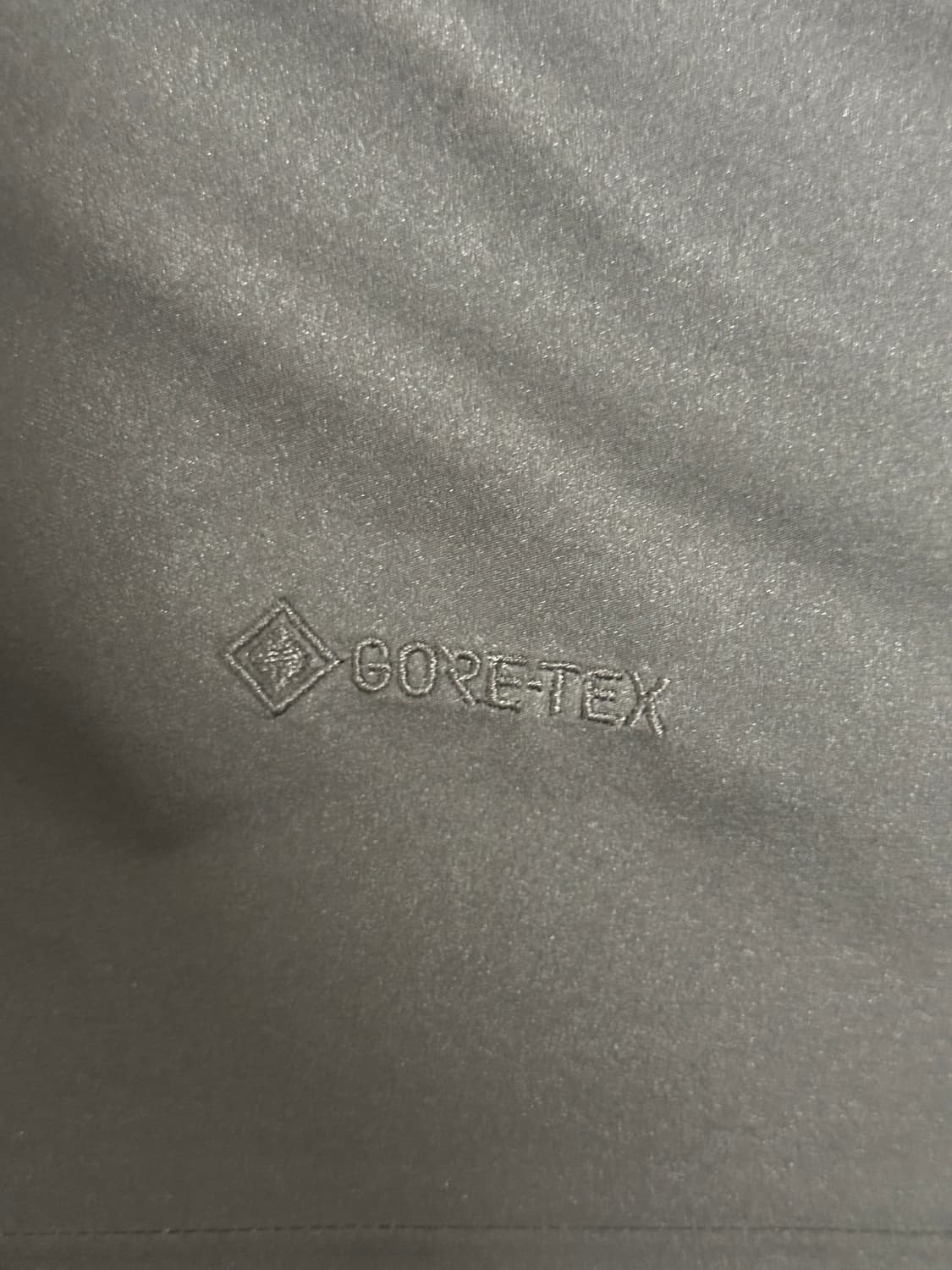 아크테릭스 베타 L 상품이미지6