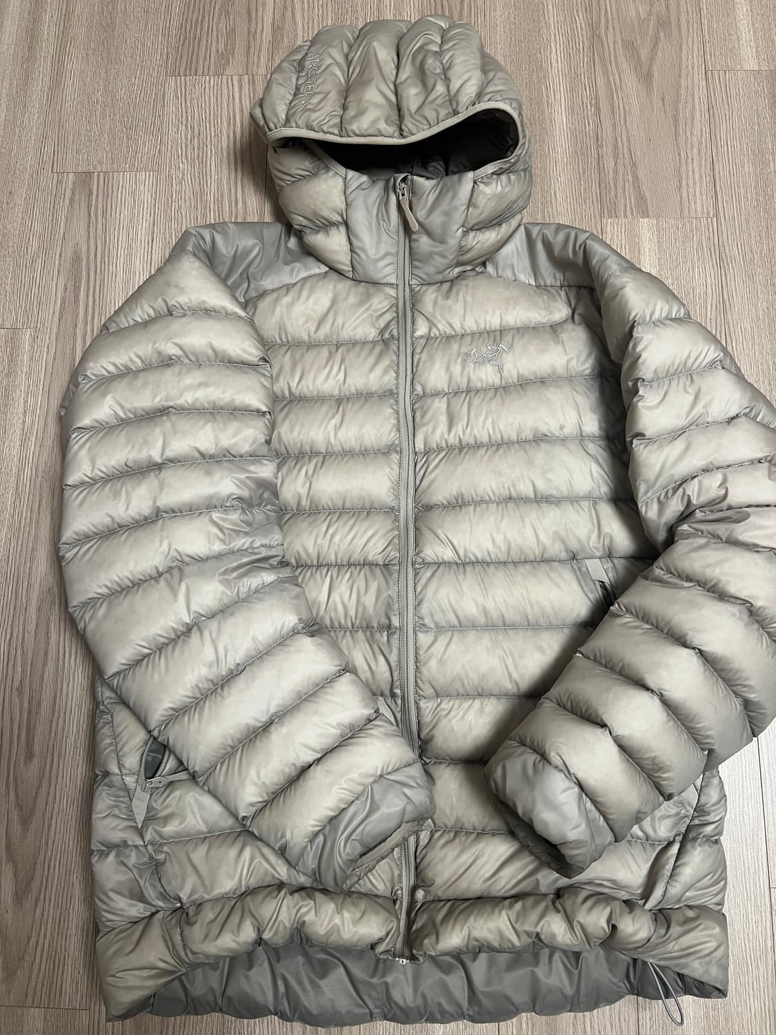 아크테릭스 세륨 후디 룬 L 상품이미지2