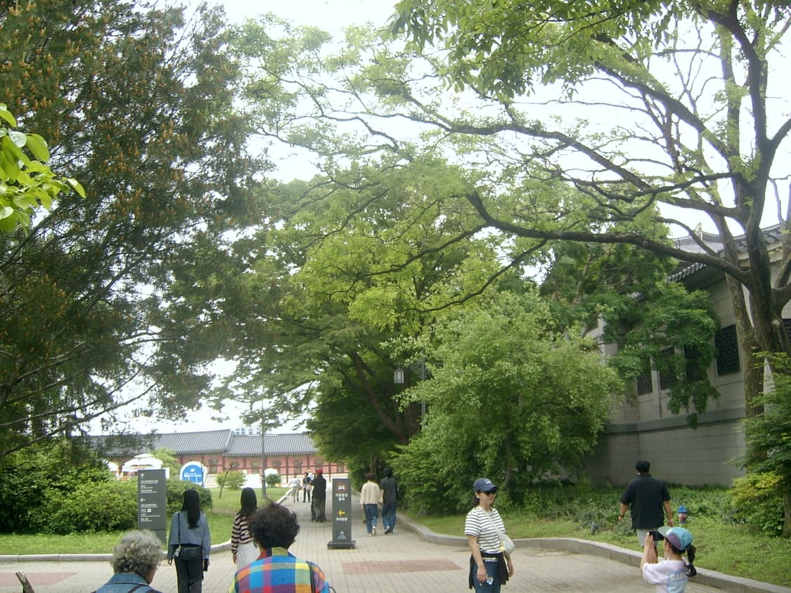 삼성 KENOX Digimax V4 디지털 카메라 상품이미지6