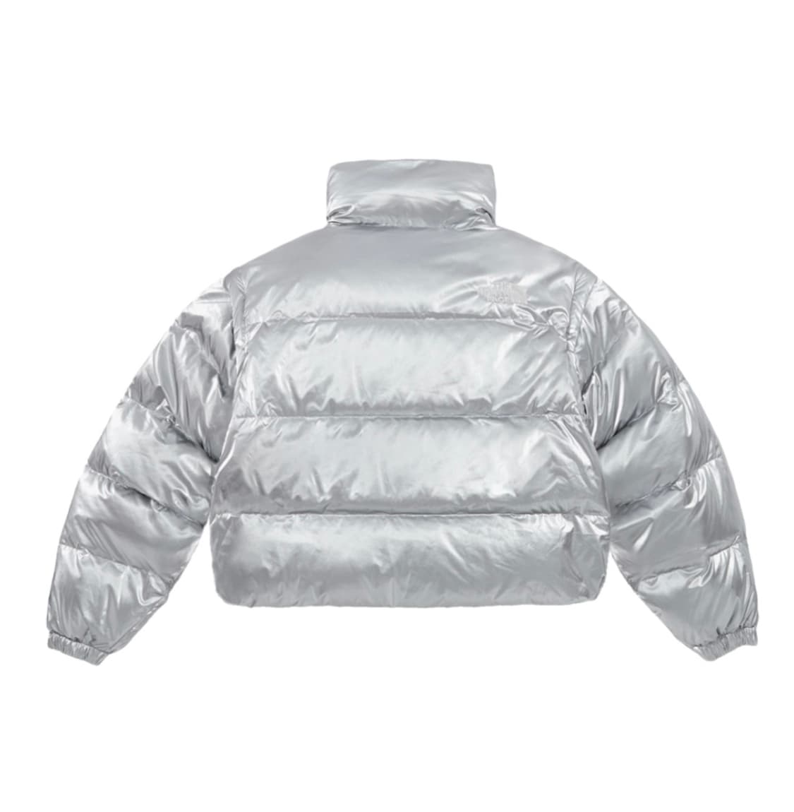 노스페이스 패딩 화이트라벨 글로시 다운자켓 실버 상품이미지2