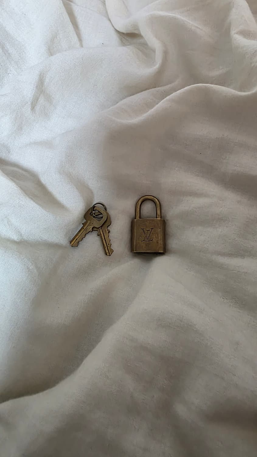 루이비통 스피디 35 반둘리에 다미에 상품이미지5