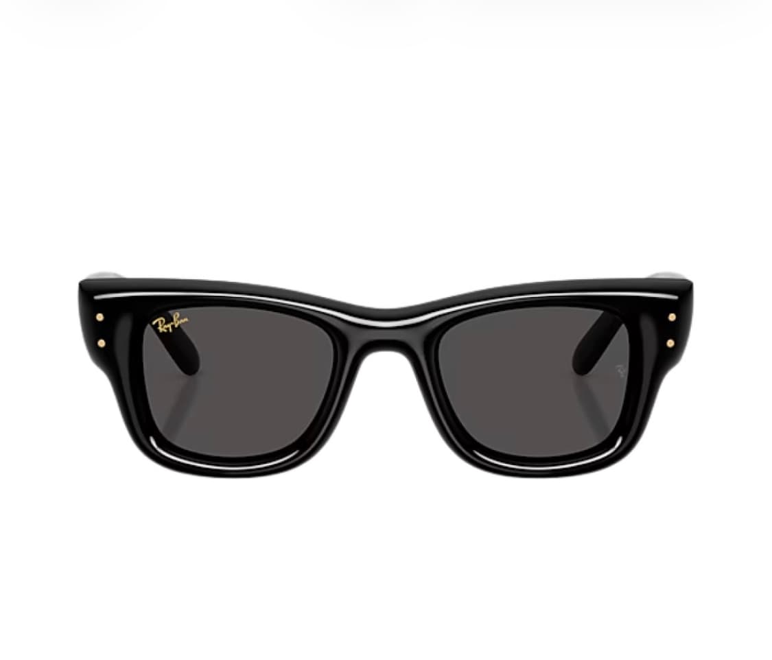 레이밴 x 에이셉 라키 웨이페어러 푸퍼 폴리쉬드 블랙 프레임 상품이미지2