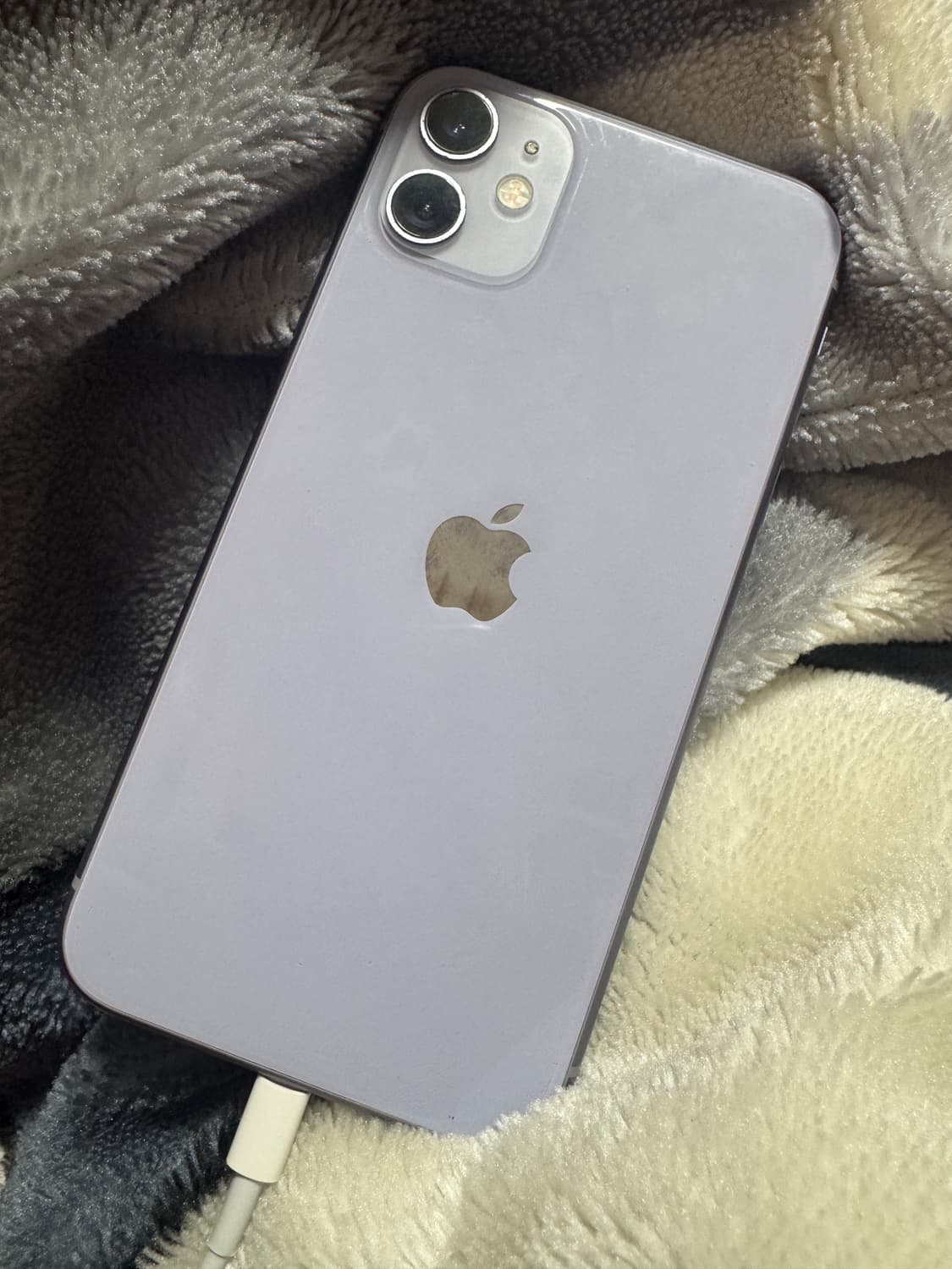 아이폰 11 퍼플 상품이미지8