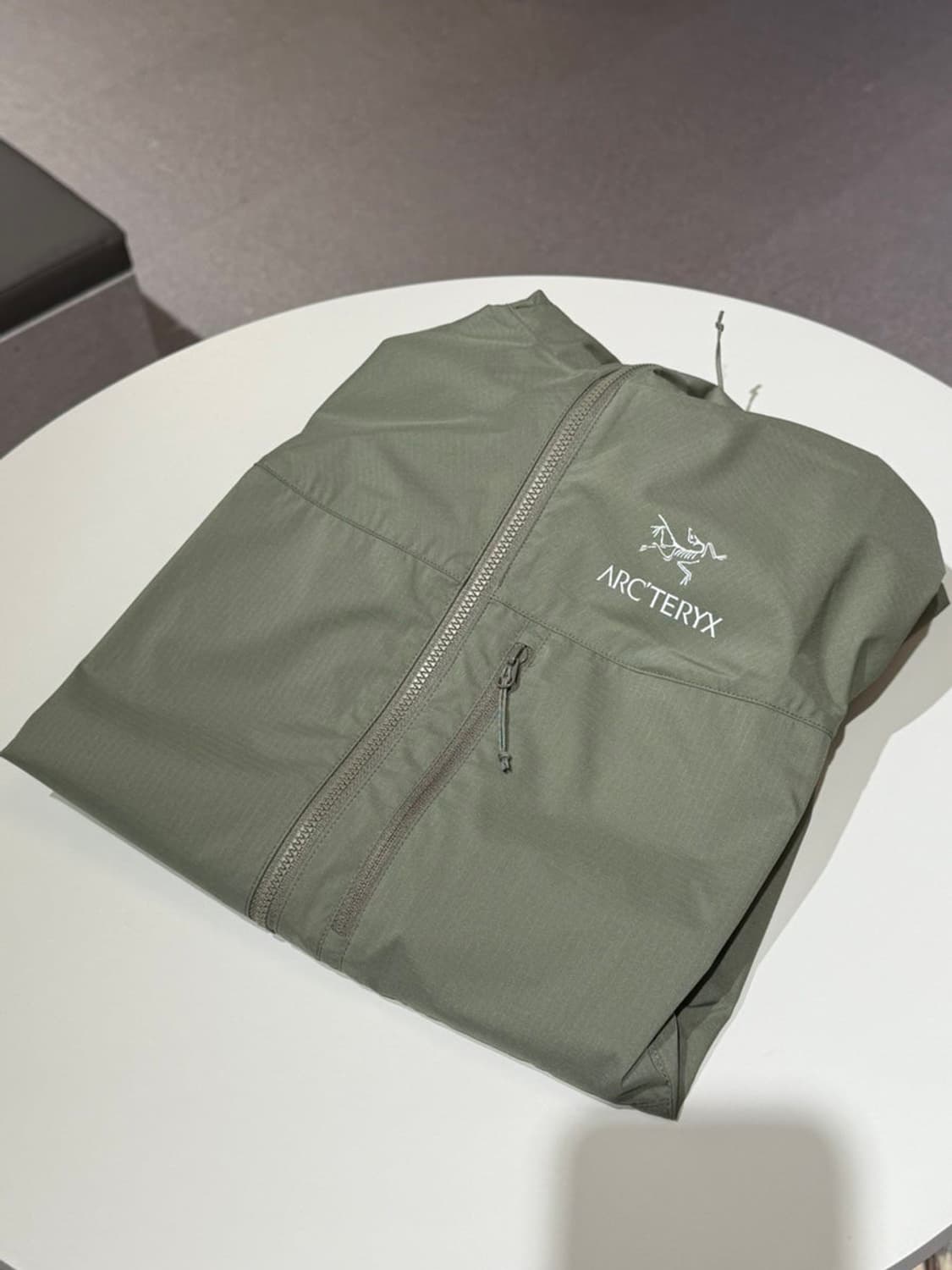 아크테릭스 스쿼미시 후디 포리지 M 상품이미지2