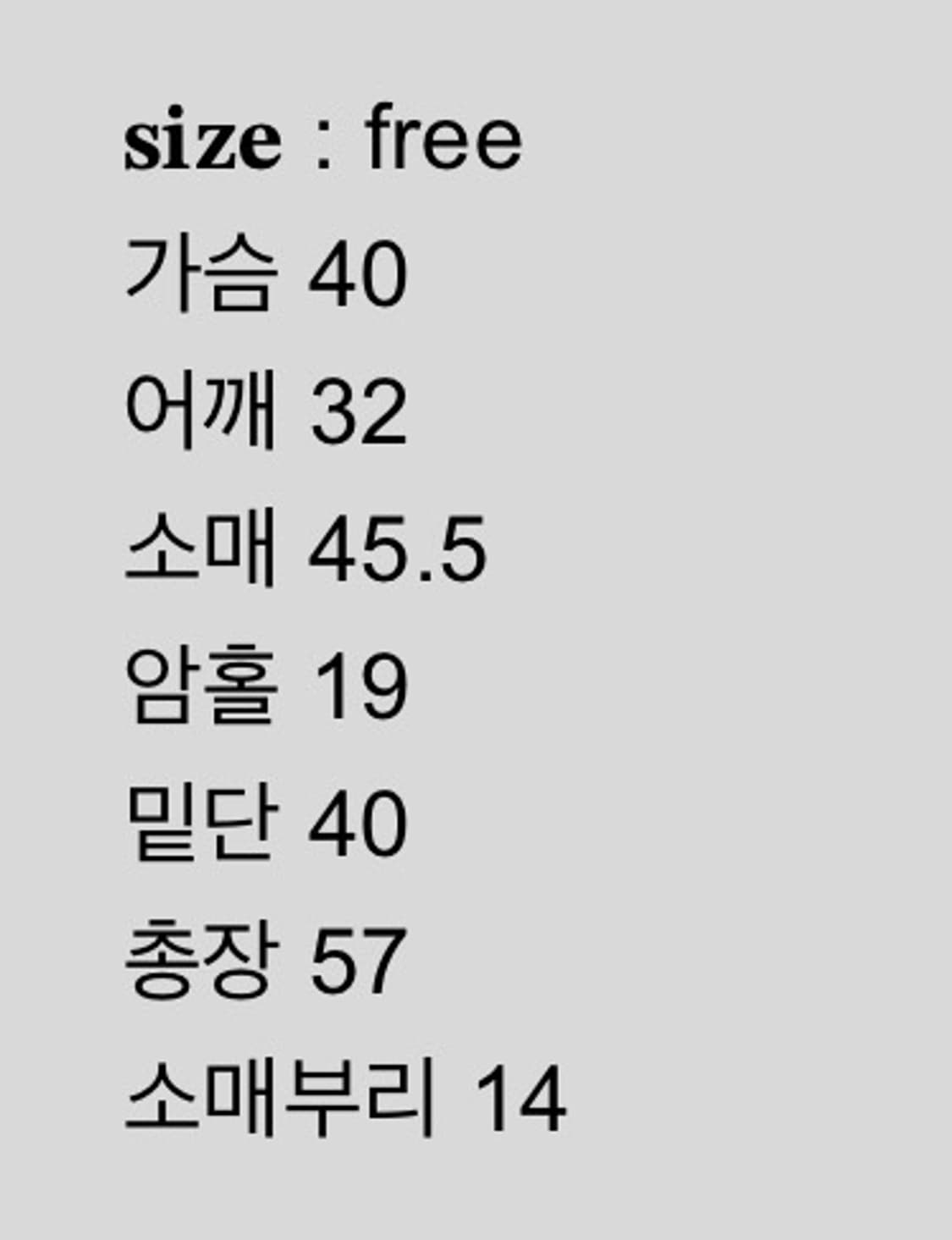 [새상품/당일배송] 샵페어리 스트로베리 레이스 탑 민트,샵페어리 티셔츠 상품이미지3