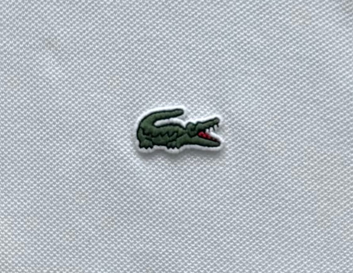 Lacoste 라코스테 컬러 블록 카라티 상품이미지3