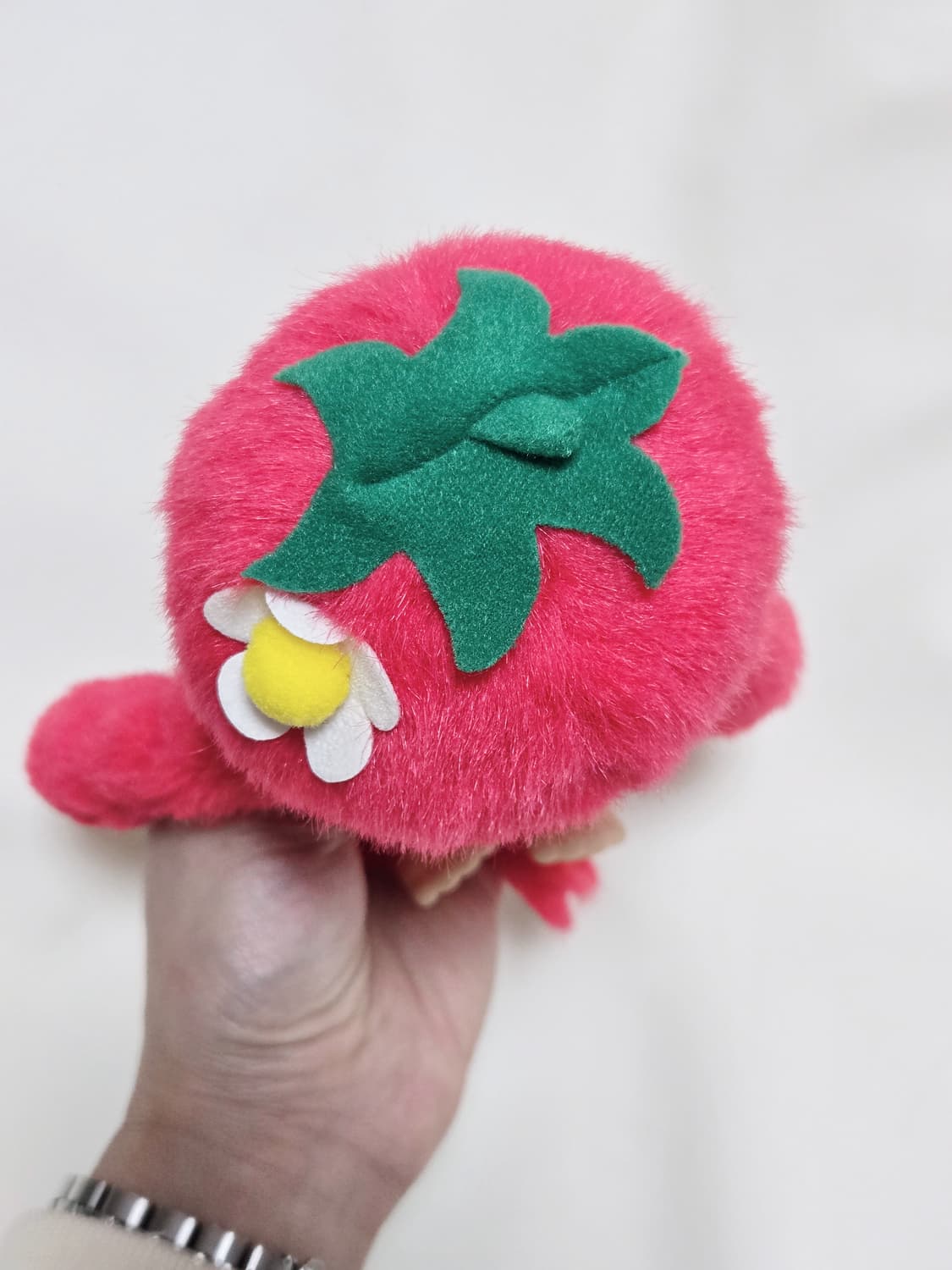 몬치치 지역한정 도치기 딸기 상품이미지5