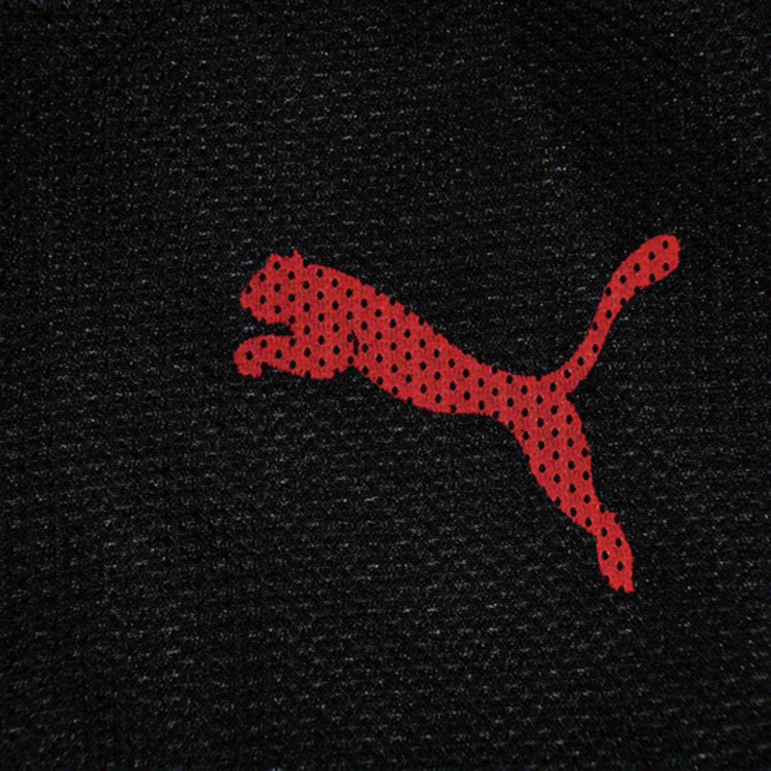 PUMA 반팔후드집업 상품이미지7