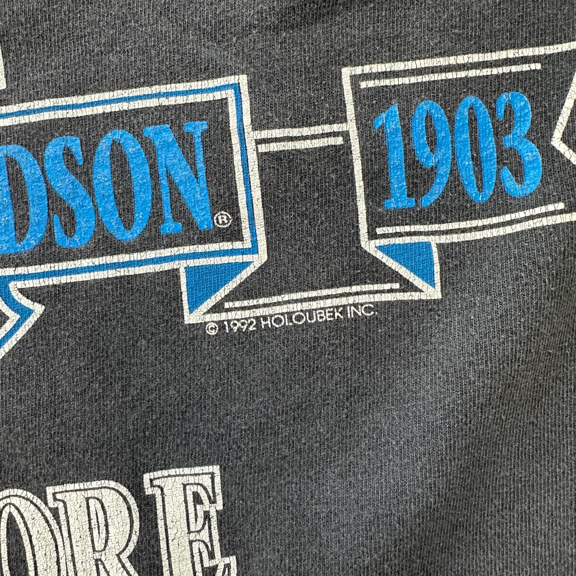 90s USA 할리데이비슨 울프 페이디드 싱글스티치 티셔츠 3XL 상품이미지5