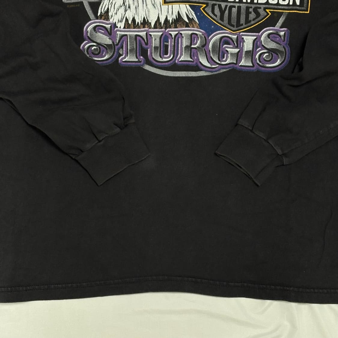 🇺🇸 00s 할리데이비슨 sturgis 랠리 롱슬리브 상품이미지7