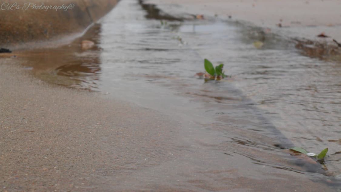 삼성 Samsung VLUU PL100  버건디 상품이미지4