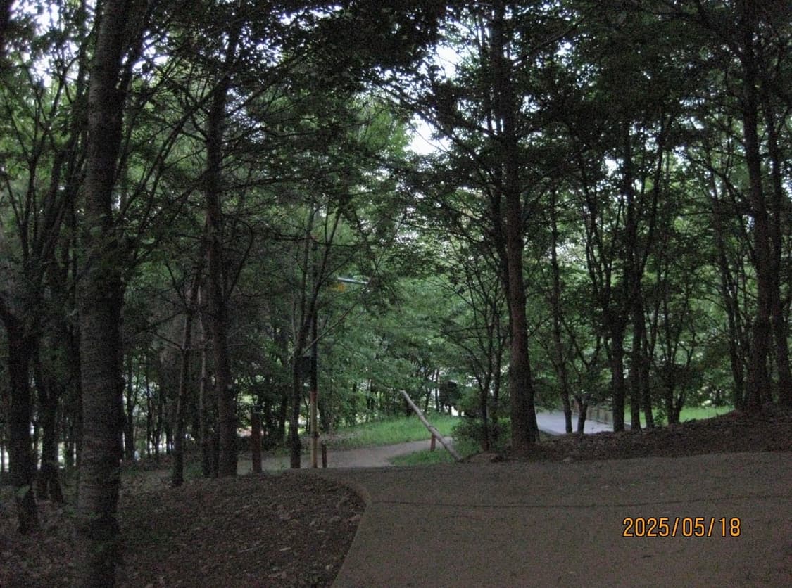 캐논 익서스 90IS 미우미우 디카 작례O 상품이미지4