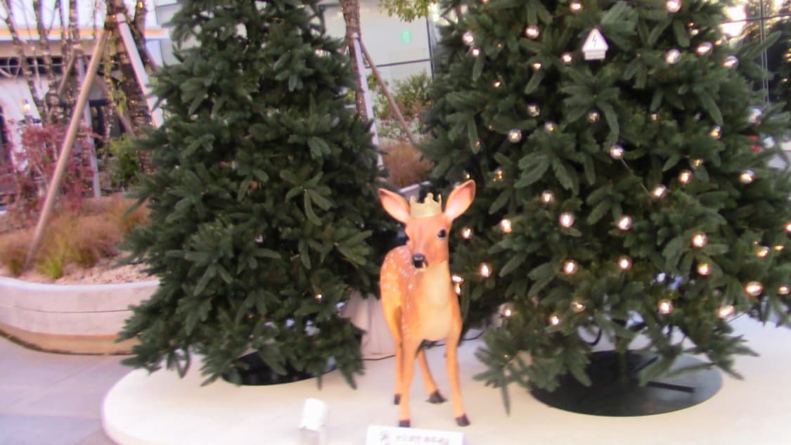 제안)캐논 (CANON) 빈티지 캠코더 아이비스 HF iVIS R700 상품이미지7