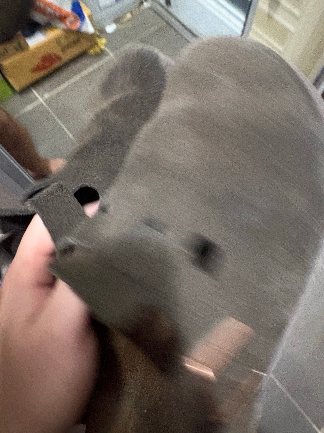 버켄스탁 보스턴 모카 상품이미지4