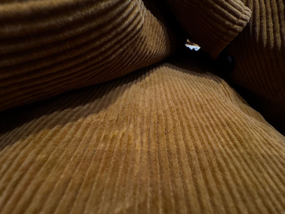 Miu Miu Corduroy Leather Collar Jacket 상품이미지6