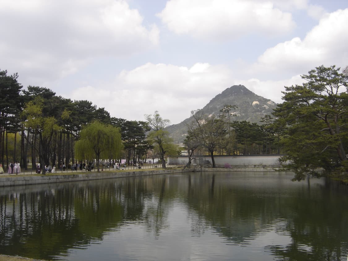 작례O) 소니 DSC-H50 디지털 카메라 상품이미지3